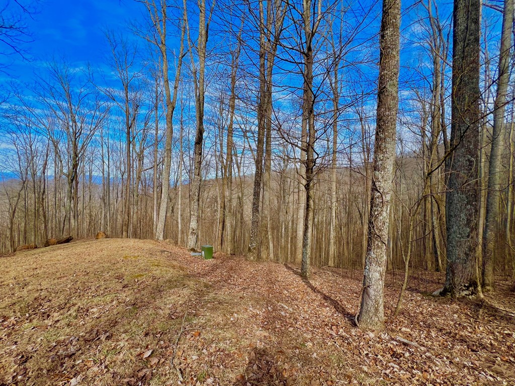 409130 Young Harris Land