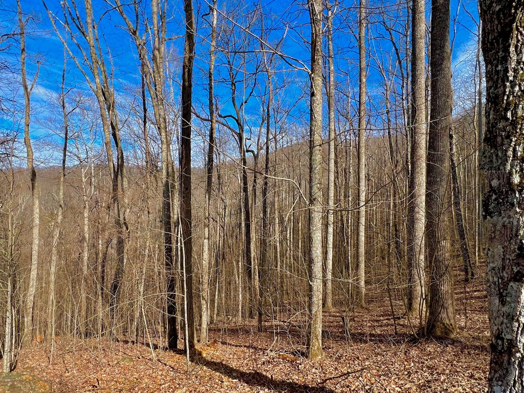 409130 Young Harris Land