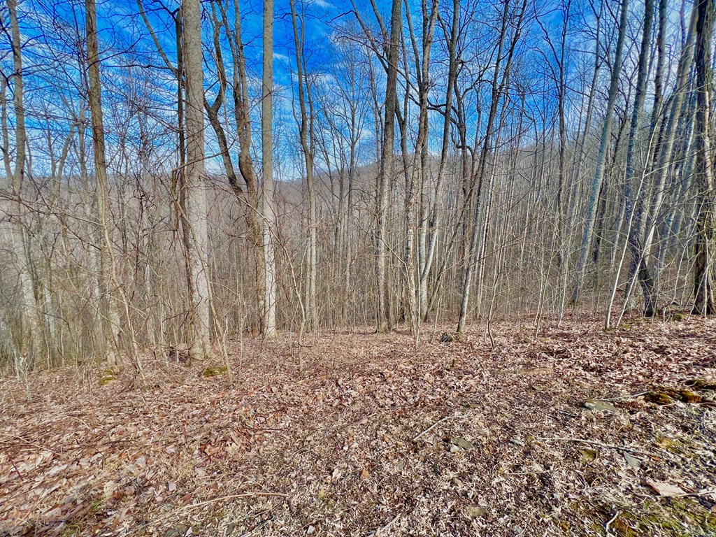409130 Young Harris Land