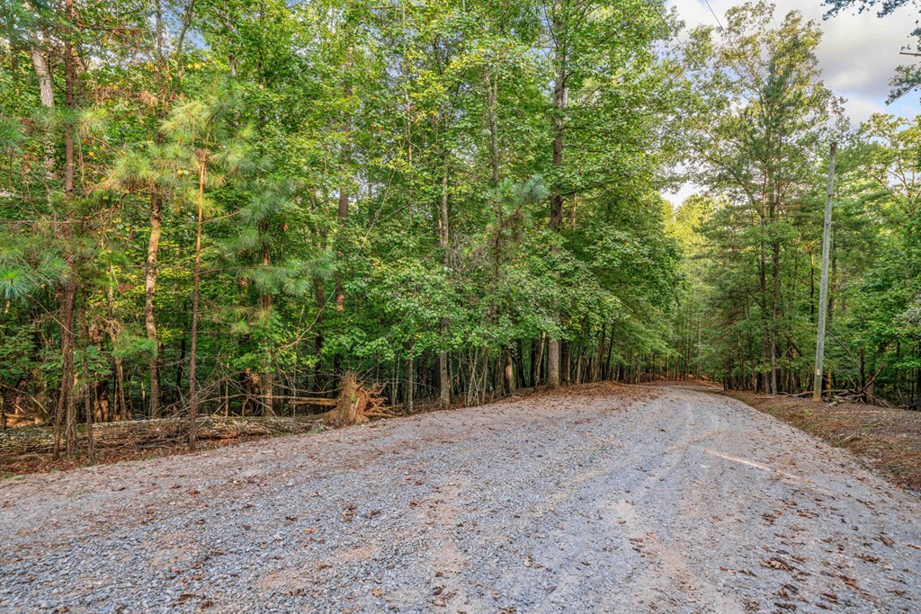 409139 Ellijay Land