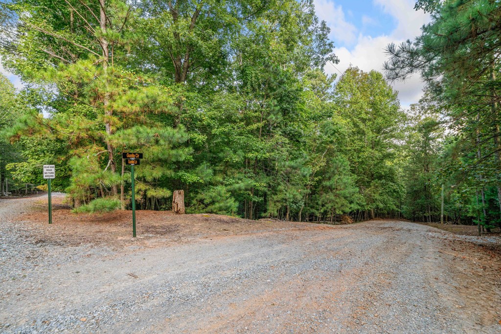 409139 Ellijay Land