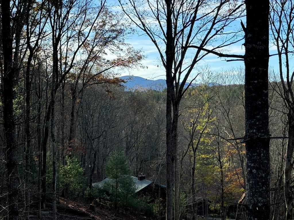 409154 Blue Ridge Residential