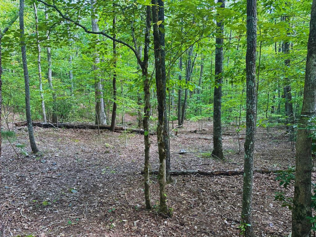409169  Land