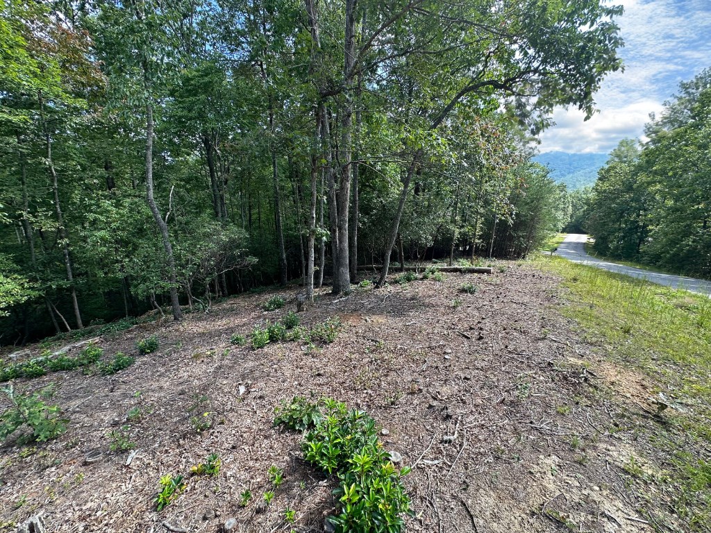 409169 Young Harris Land