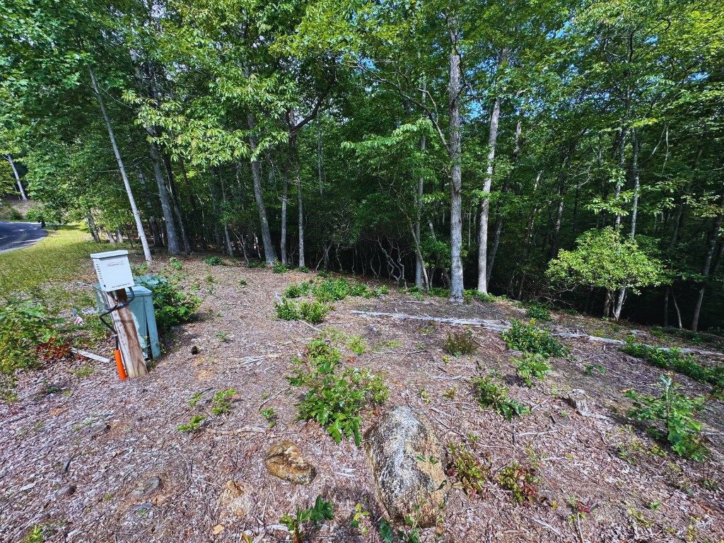 409169 Young Harris Land