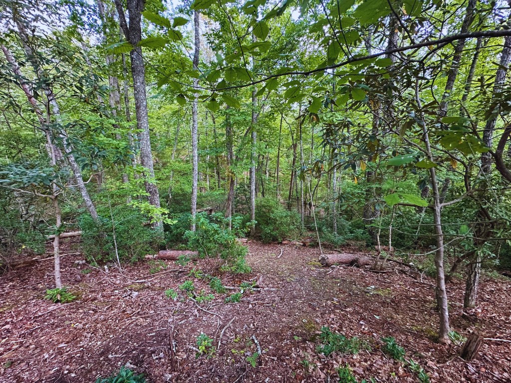 409169 Young Harris Land