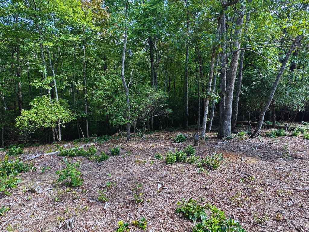 409169 Young Harris Land