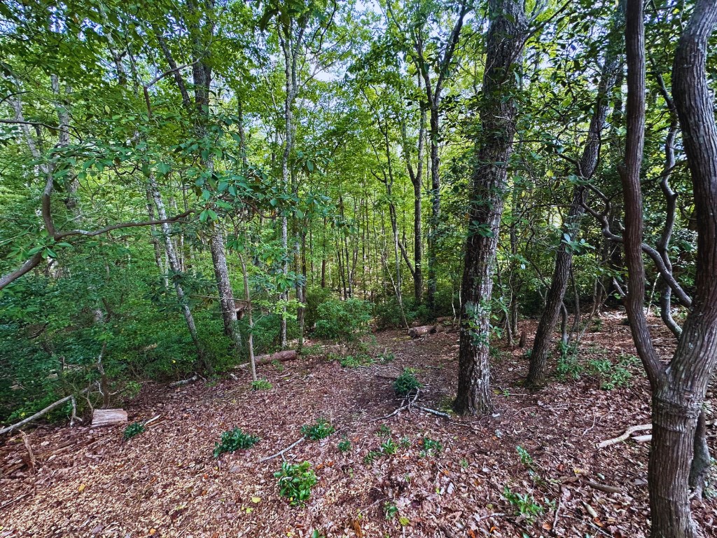 409169 Young Harris Land