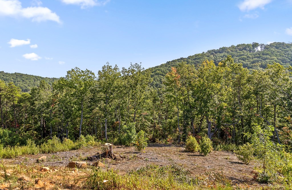 409187 Talking Rock Land
