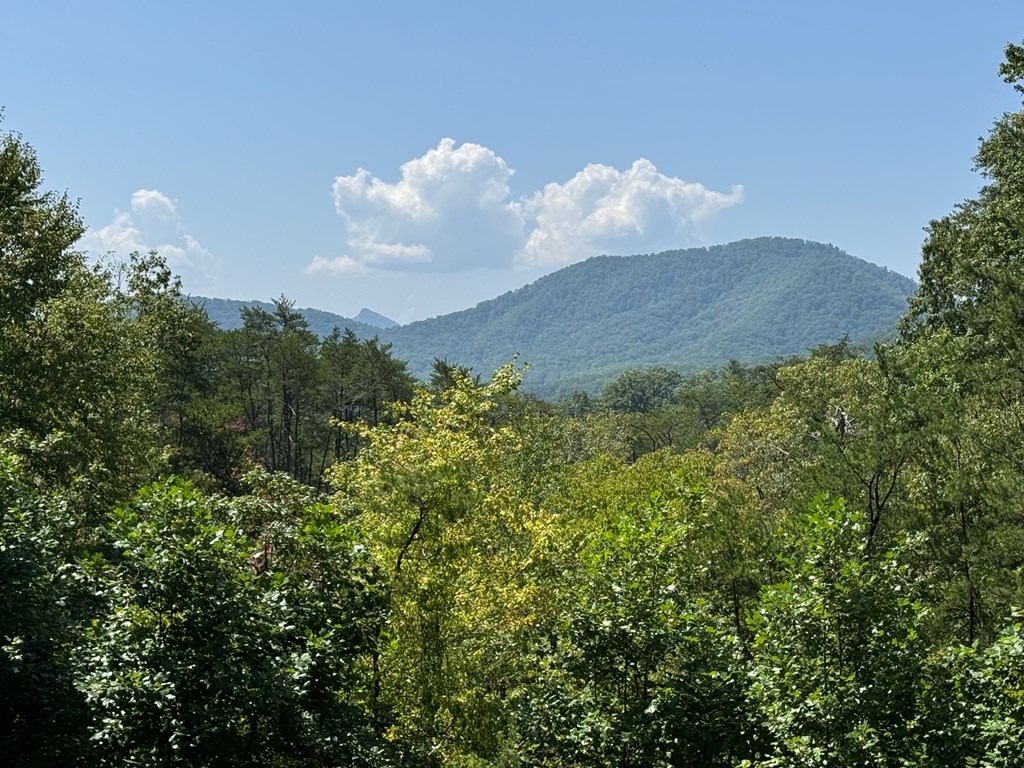 409188 Hayesville Residential