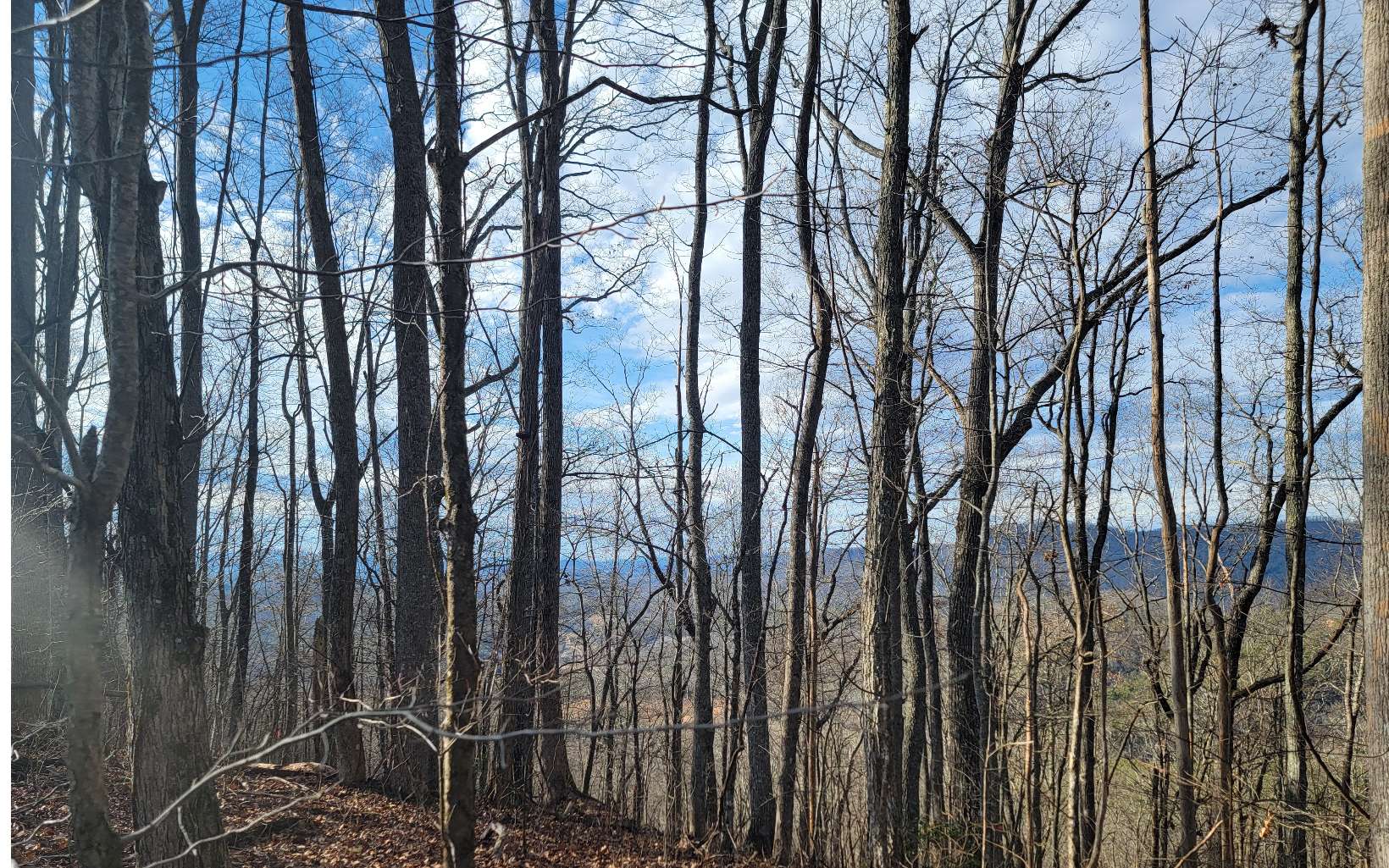 409207 Hayesville Land