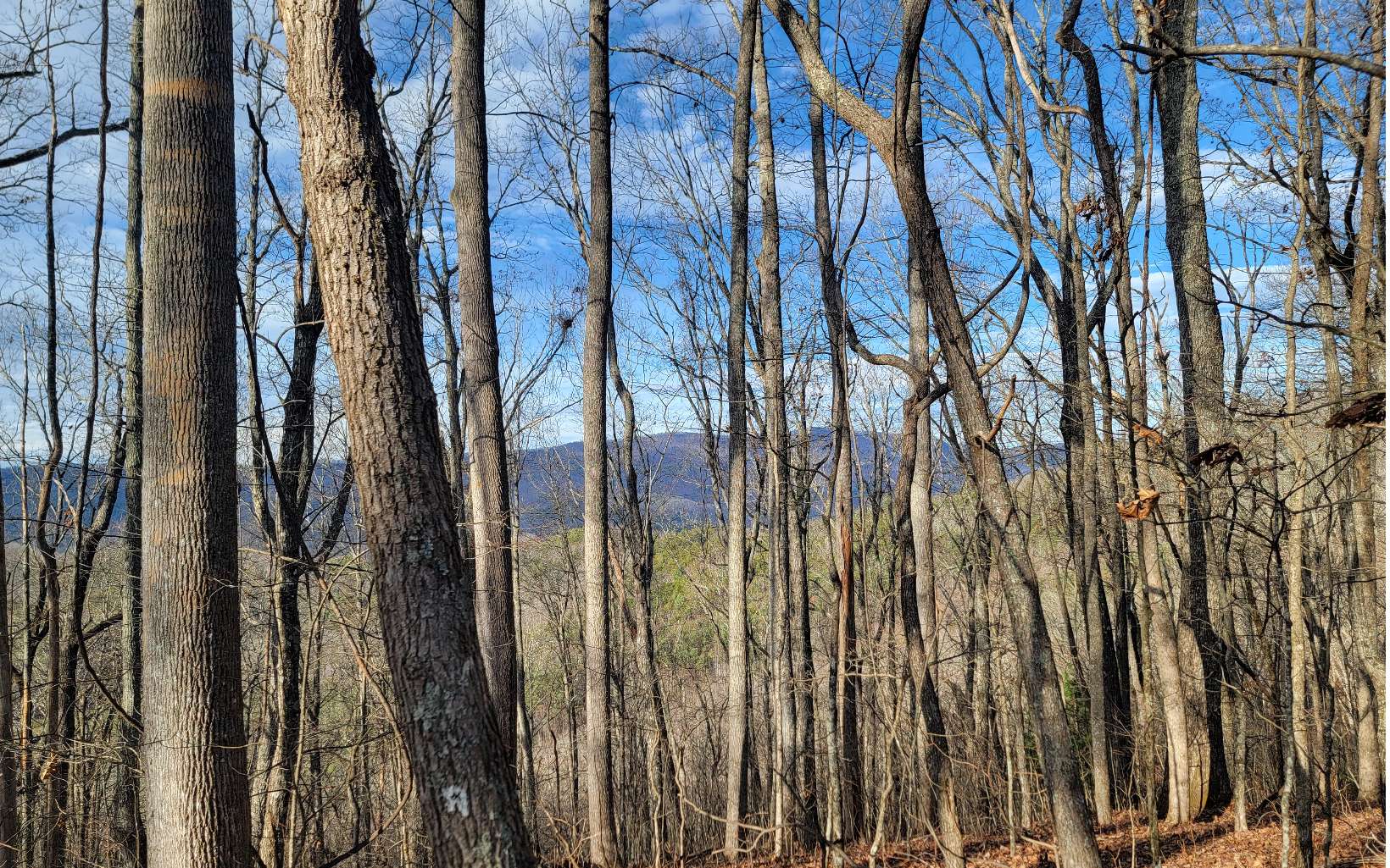 409207 Hayesville Land