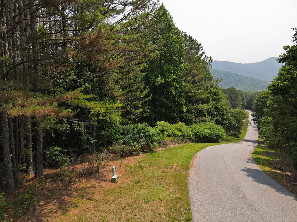 409230 Blairsville Land