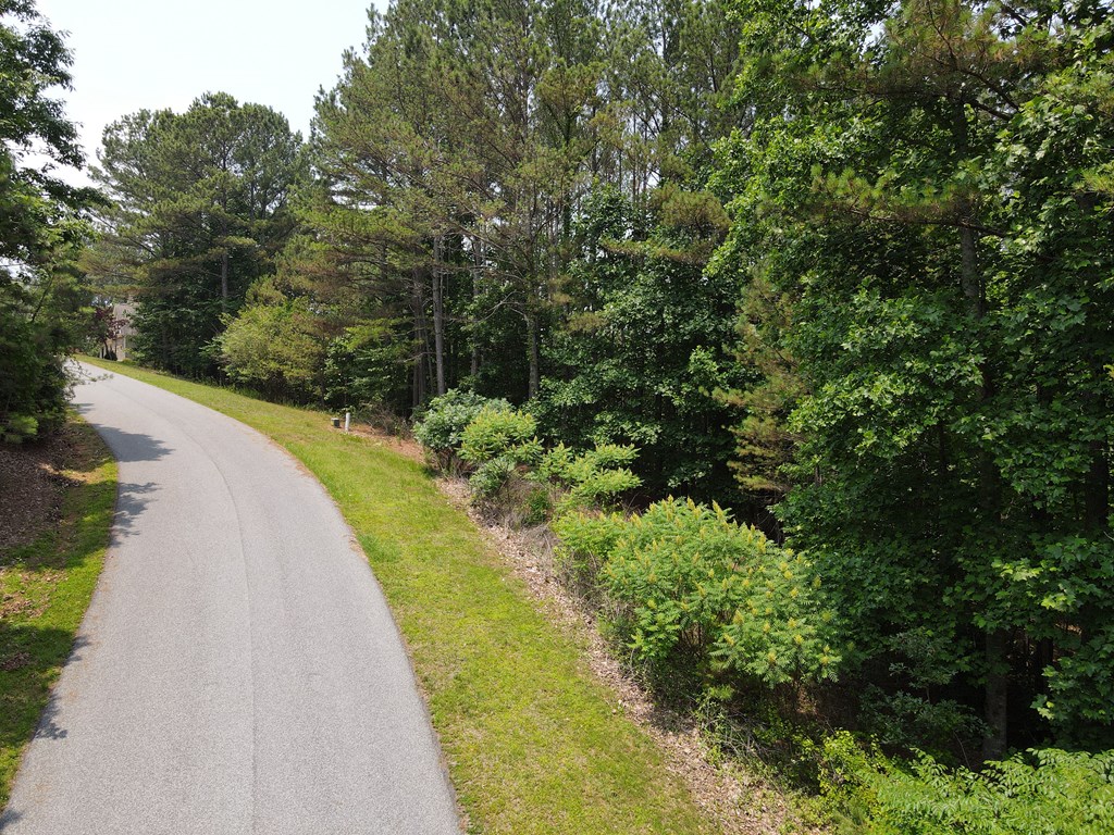 409230 Blairsville Land