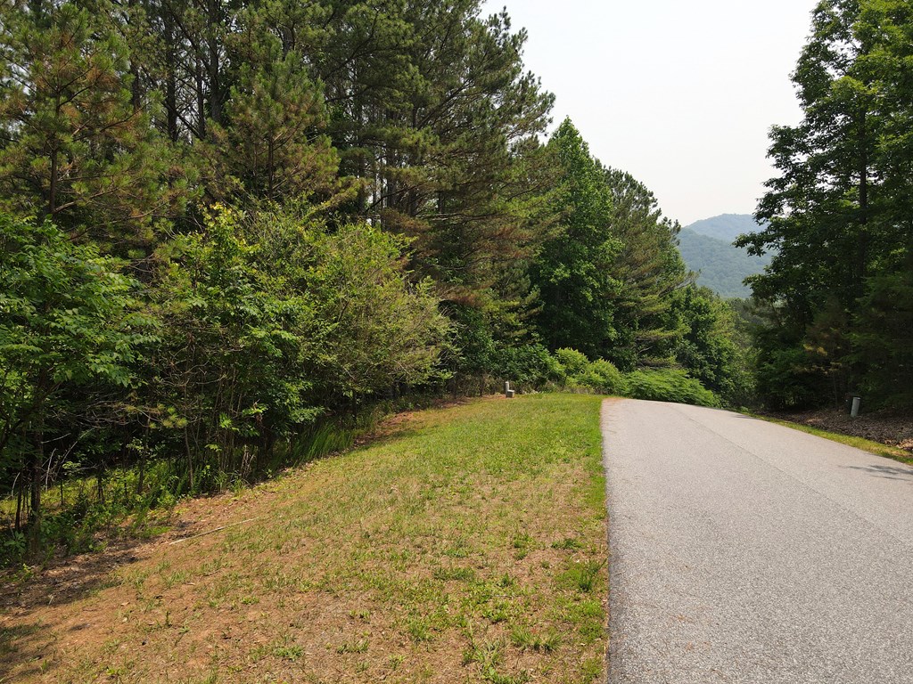 409230 Blairsville Land