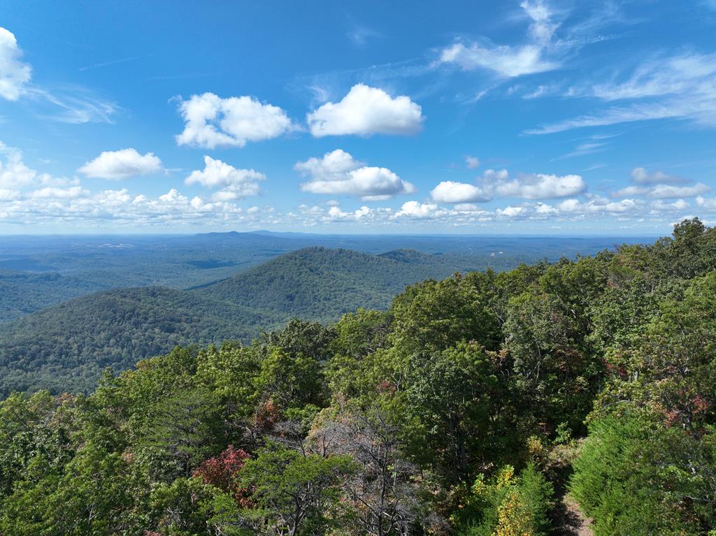 409239 Ellijay Land