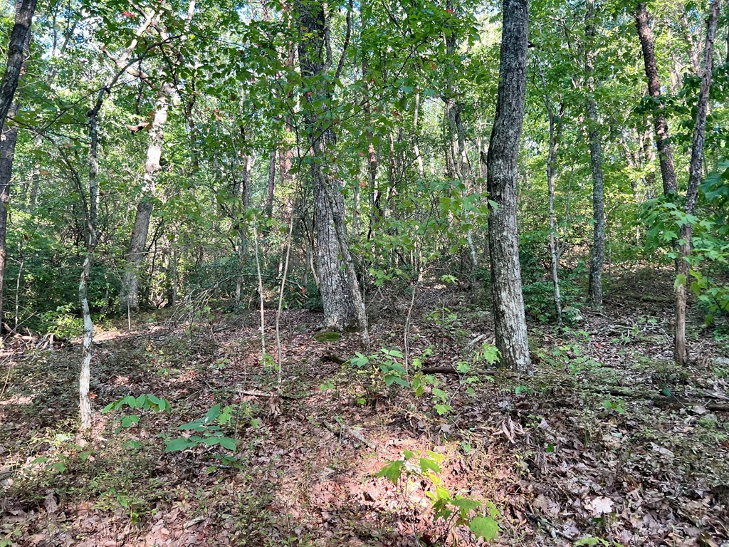 409241 Jasper Land
