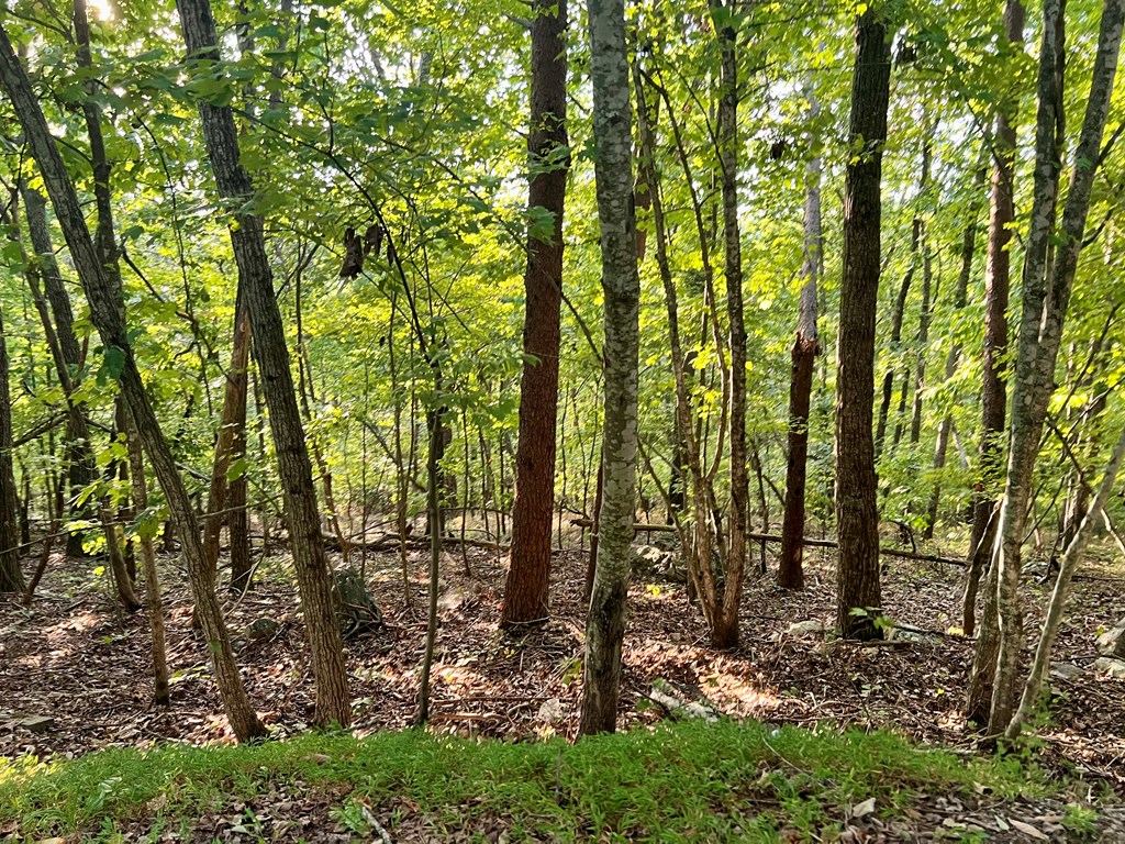 409241 Jasper Land