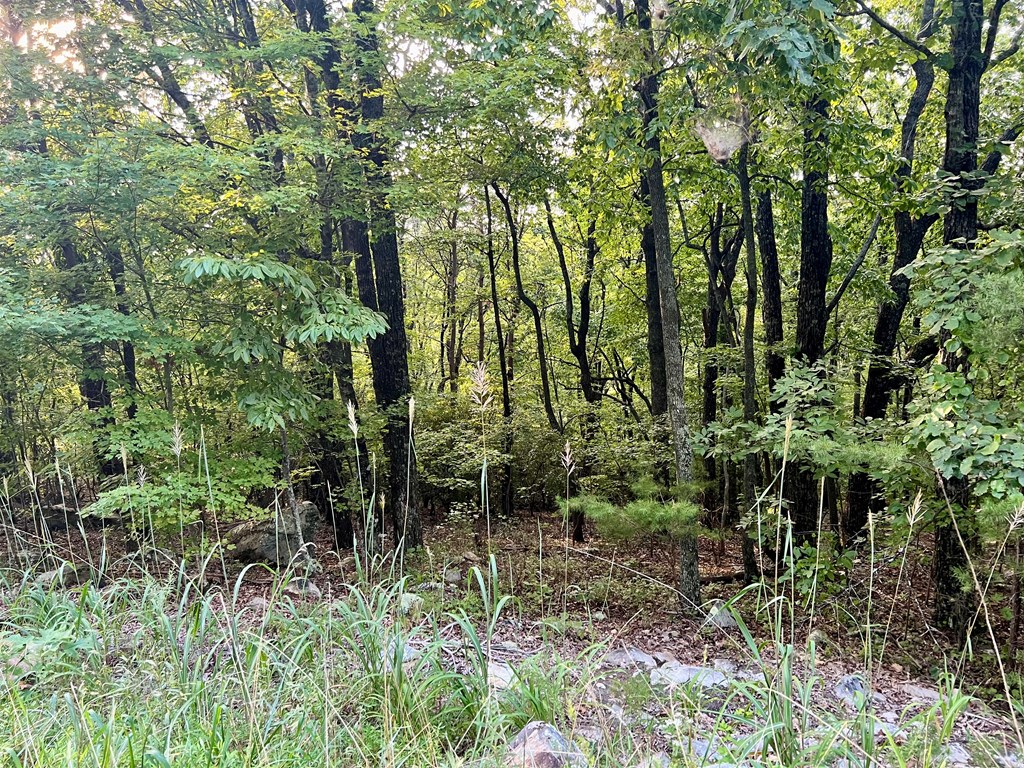 409241 Jasper Land