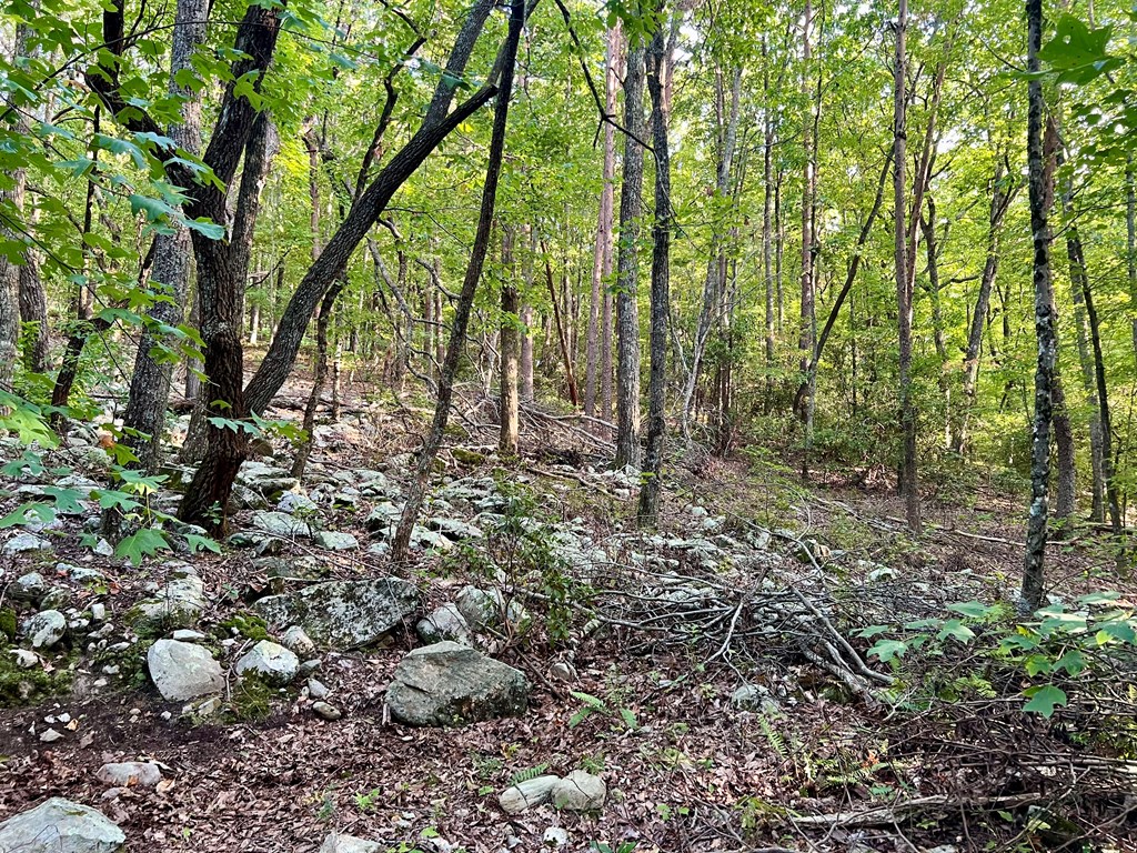409241 Jasper Land