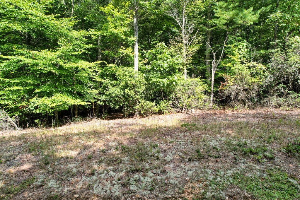 409265 Blairsville Land