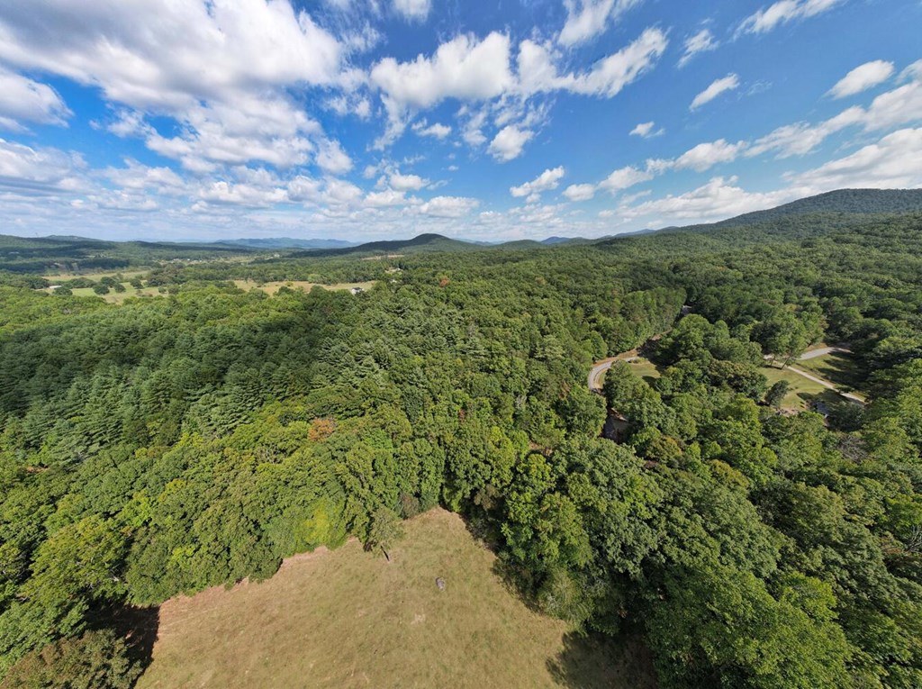 409265 Blairsville Land