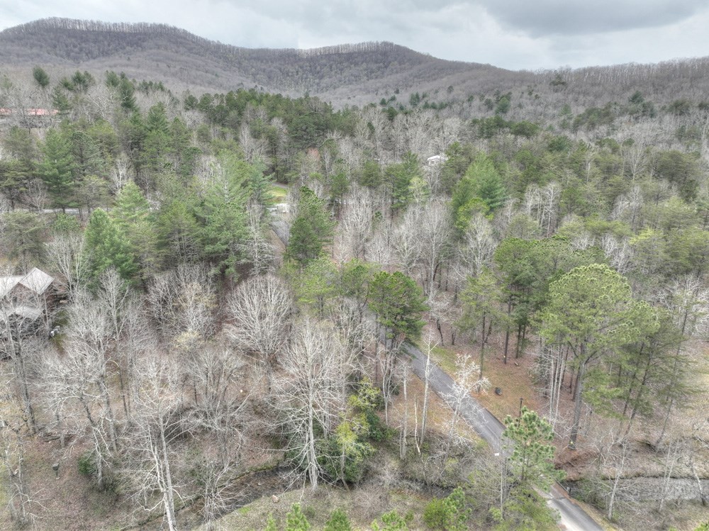 409276 Blairsville Land