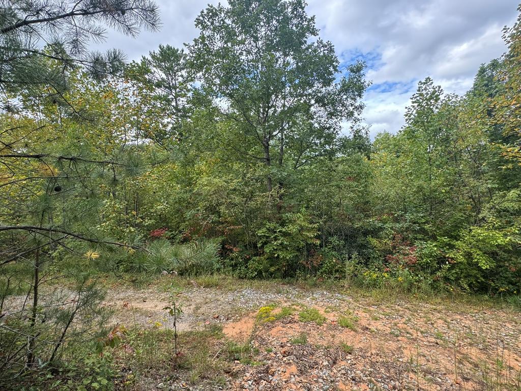 409289  Land