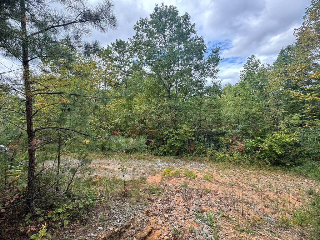 409289 Murphy Land