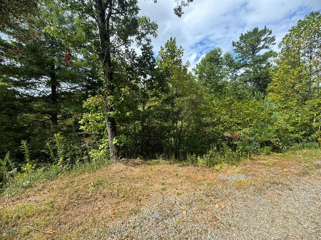 409289 Murphy Land