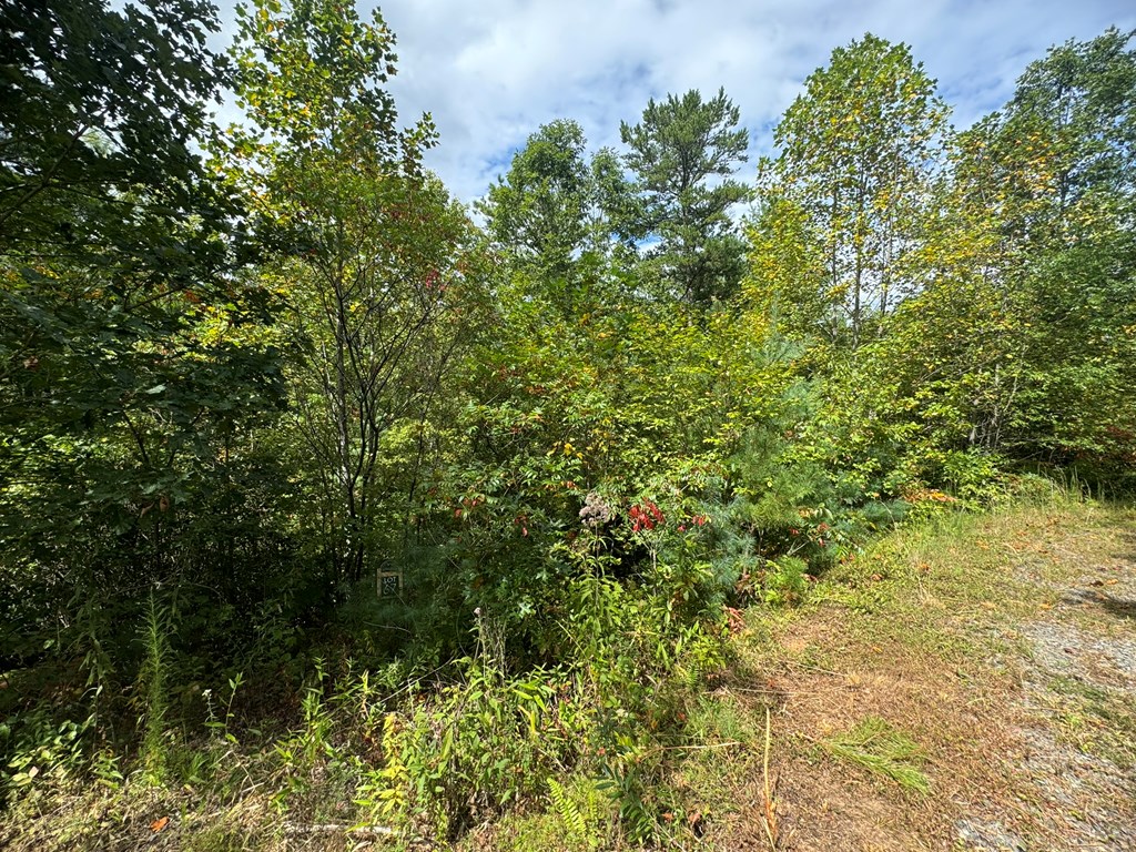409289 Murphy Land