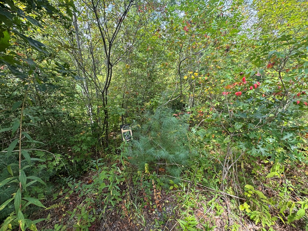409289 Murphy Land