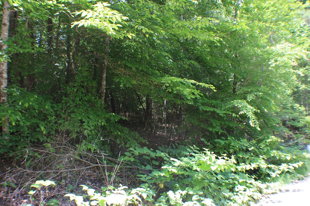 409298 Epworth Land