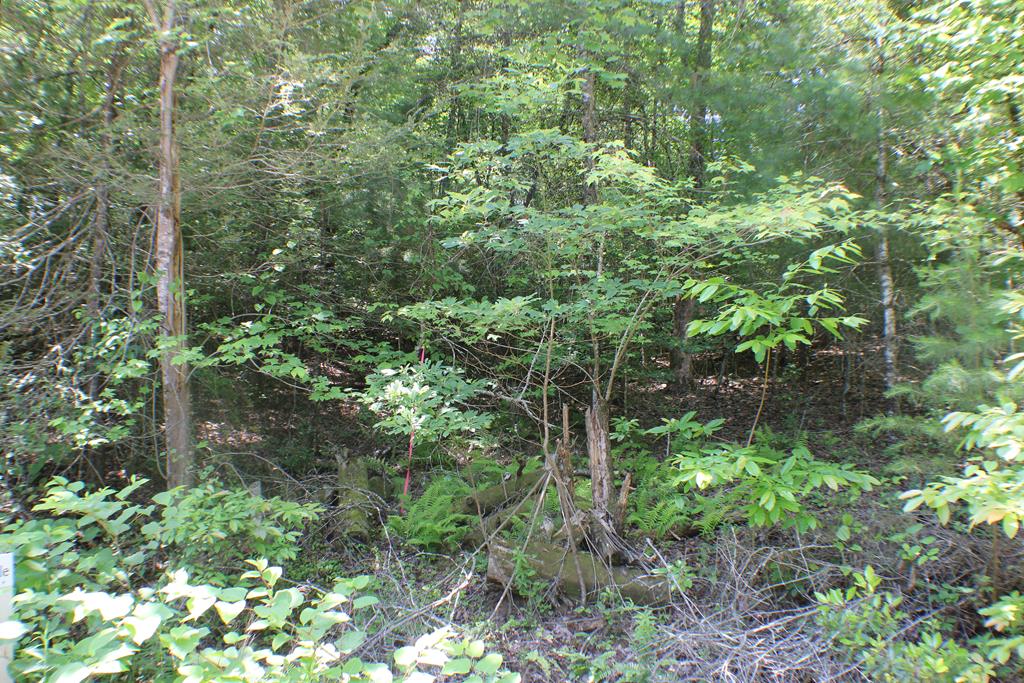 409298 Epworth Land