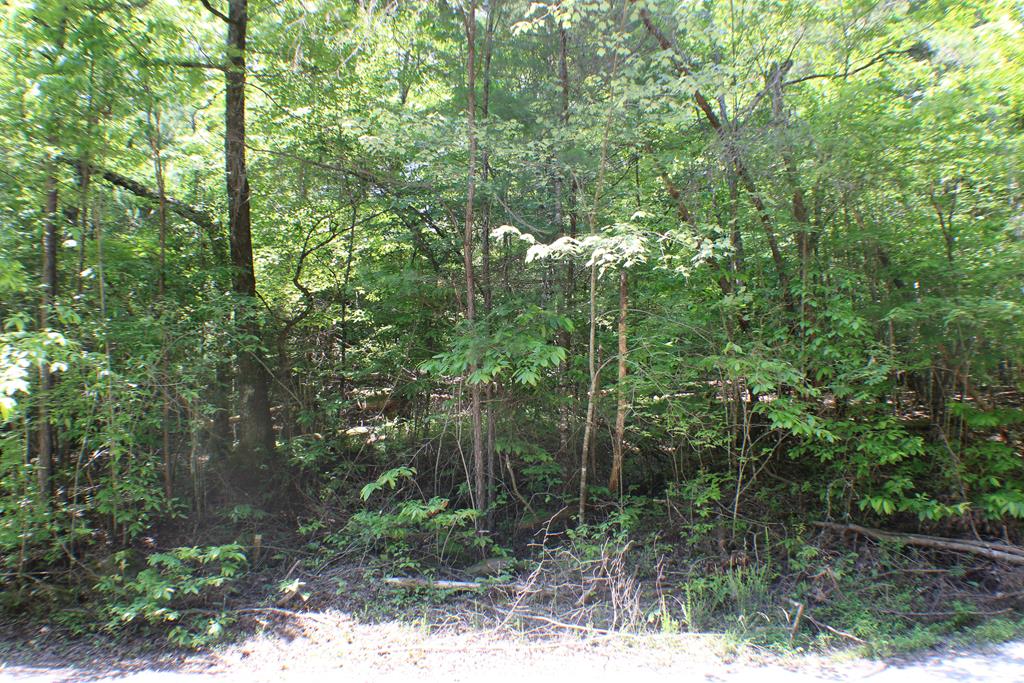 409298 Epworth Land