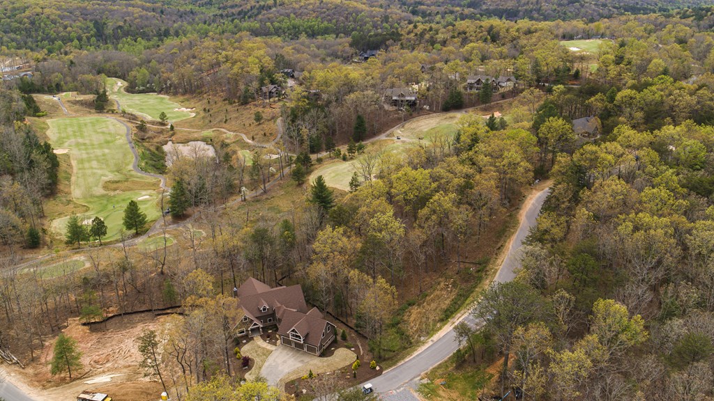 409306 Mineral Bluff Land