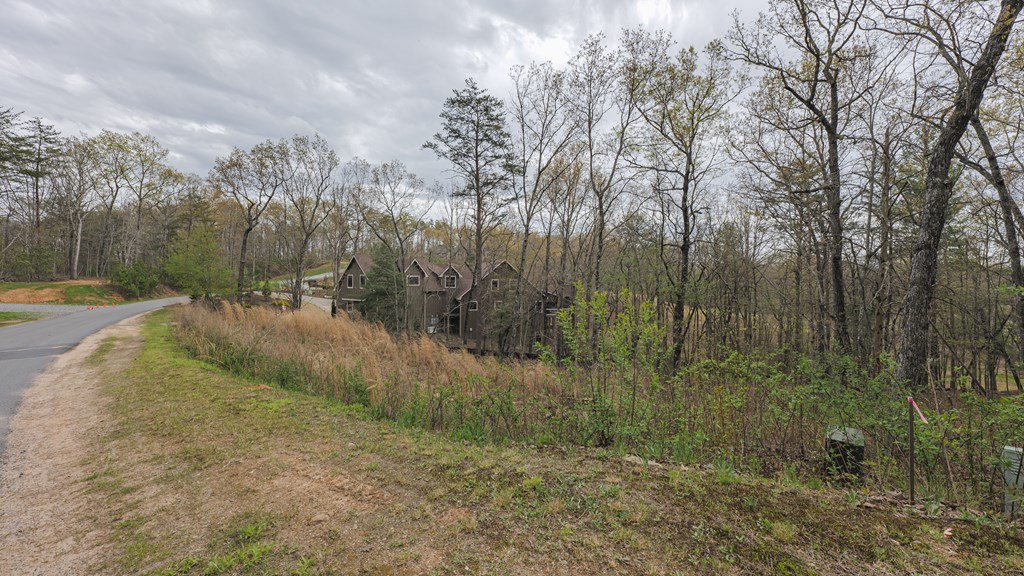 409306 Mineral Bluff Land