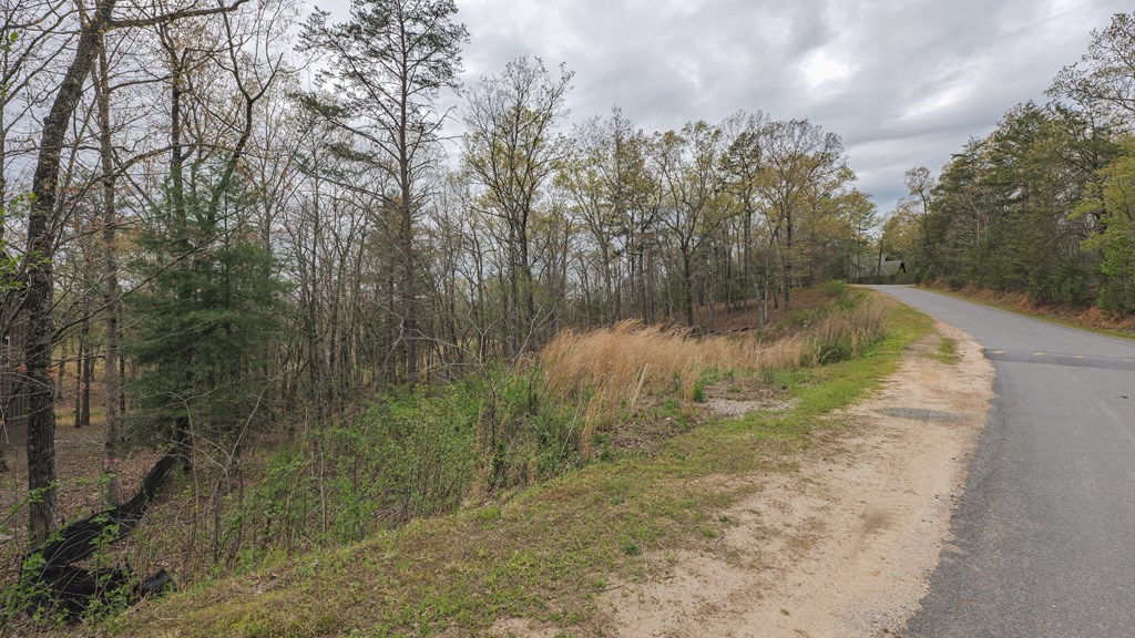 409306 Mineral Bluff Land