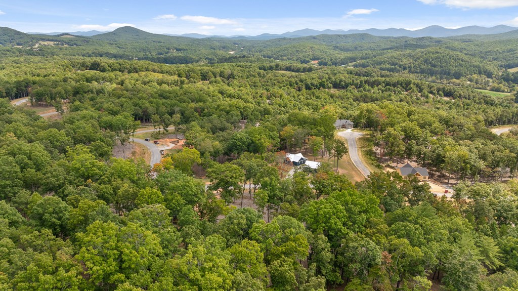 409314 Morganton Land