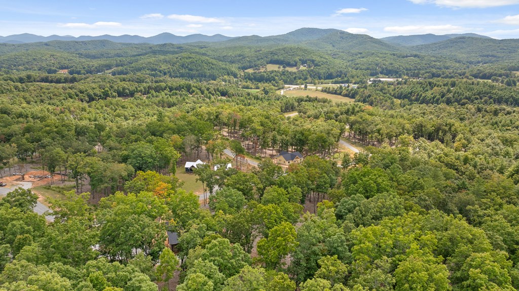 409314 Morganton Land