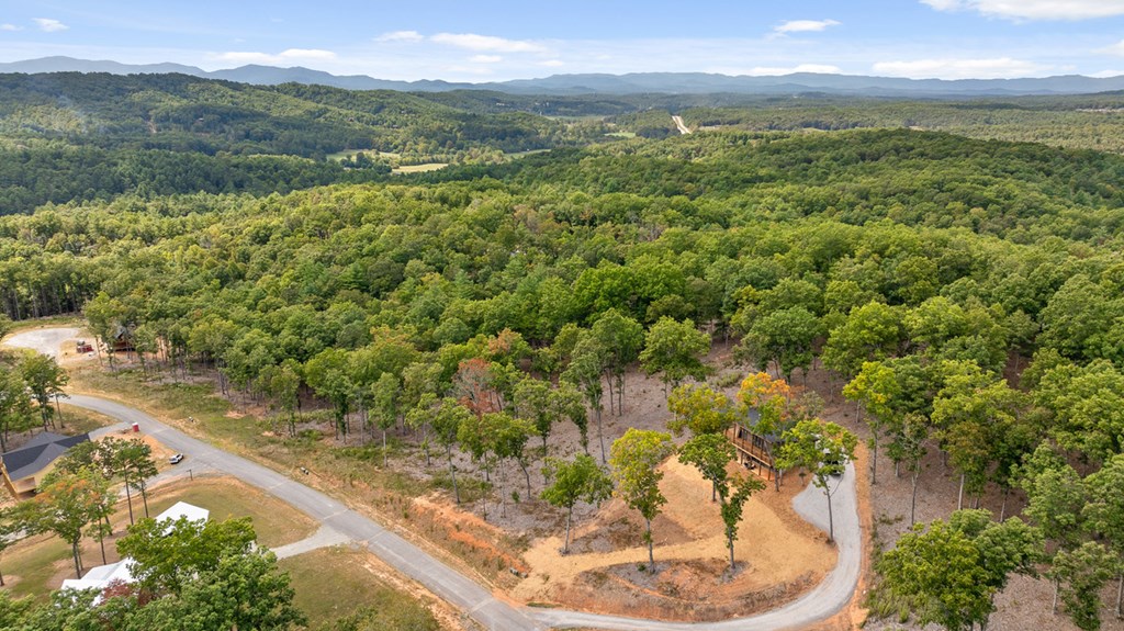 409314 Morganton Land