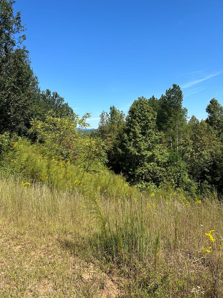 409326  Land