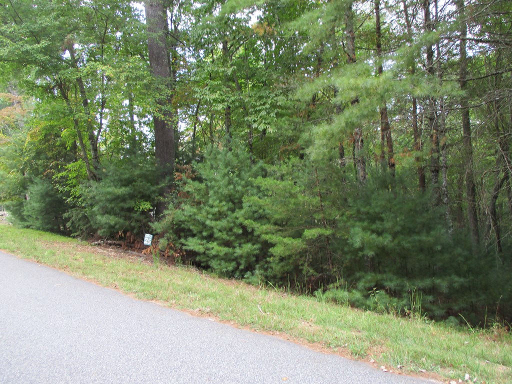 409342 Blairsville Land