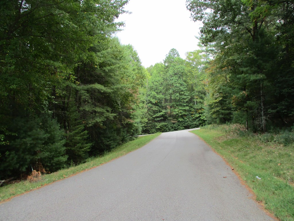 409342 Blairsville Land