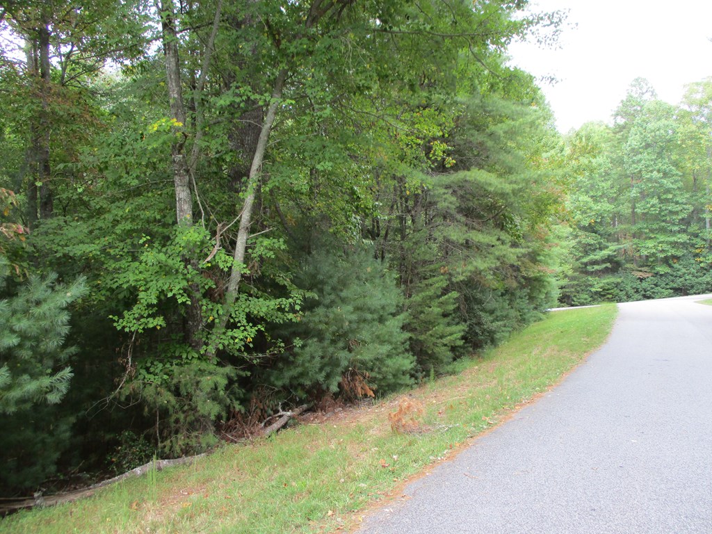 409342 Blairsville Land