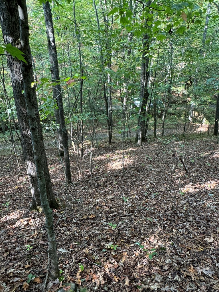 409358 McCaysville Land