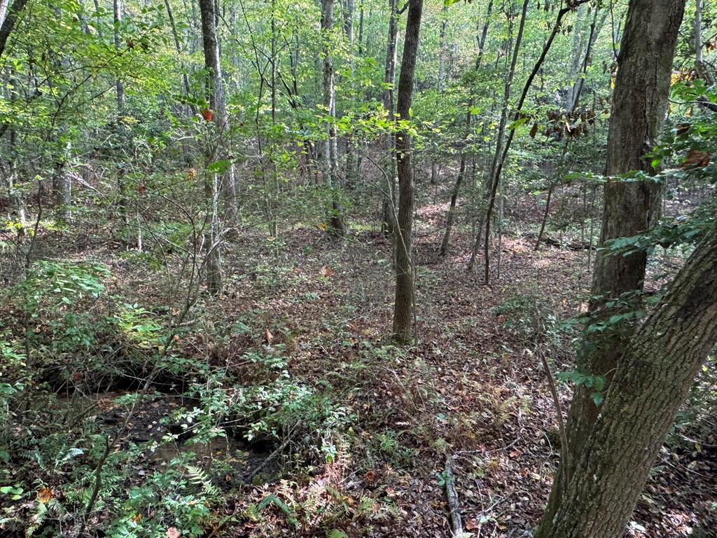 409358 McCaysville Land