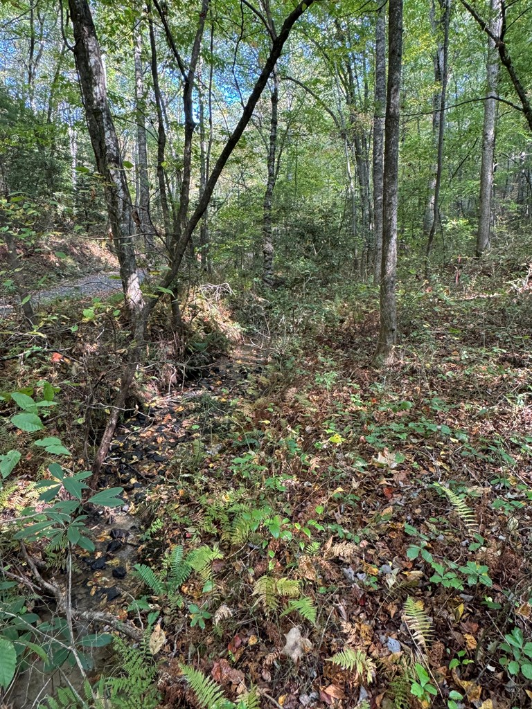 409358 McCaysville Land