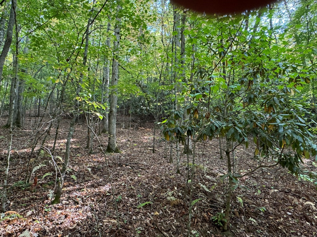 409358 McCaysville Land