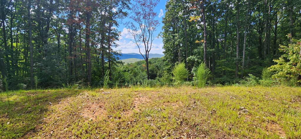 409361 Ellijay Land